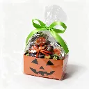 Arreglo_Triki_Treat_02_web_light.webp